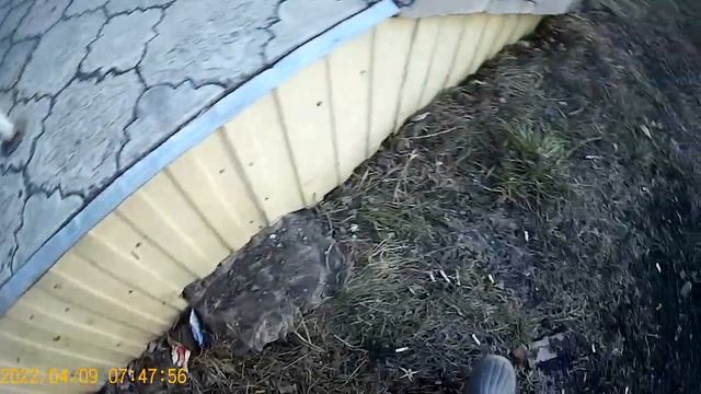 дом ветеранов полысаево 22.04.2021 смотреть онлайн