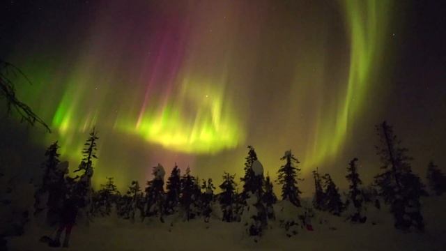 Aurora Borealis 23/03/2023 super short version смотреть онлайн