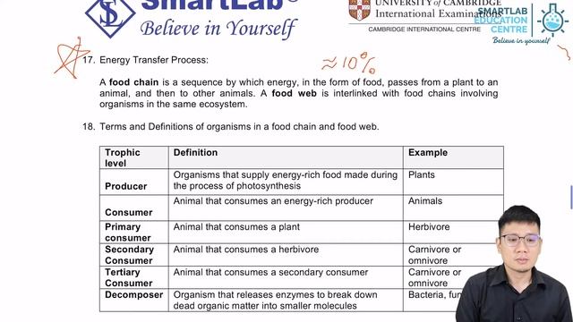 Food Chain - Energy Transfer Process in food chain смотреть онлайн