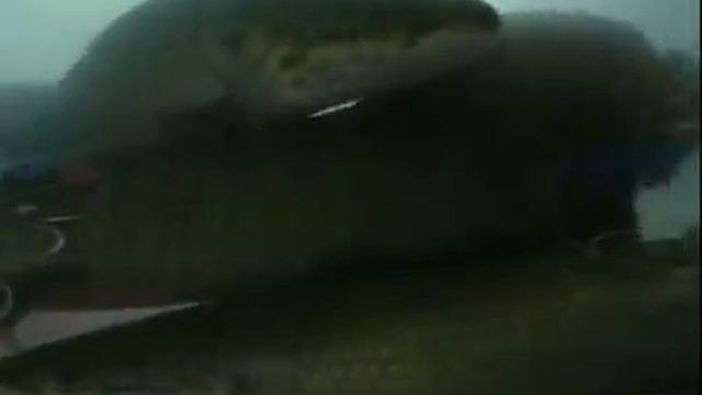 Arapaima Gigas part two смотреть онлайн