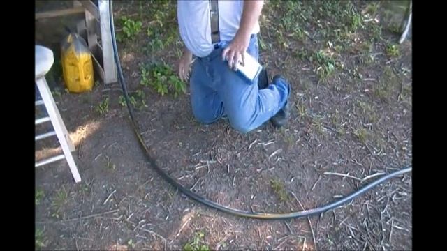 PawPaw's Fifty Cent Answer to Fifty Dollar Flea Treatments смотреть онлайн