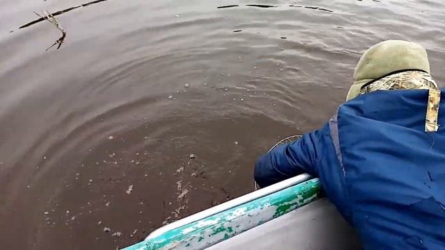 Поехали поблеснить щуку, а получилось надергали окуней смотреть онлайн