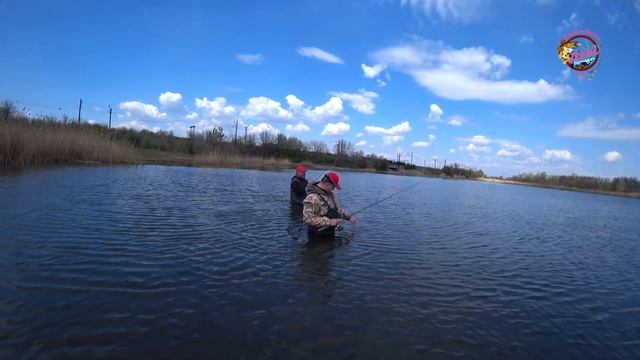 Щуки Южного водохранилища приходят в чувства и начинают отзываться