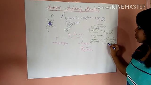 Antigen Antibody Reactions смотреть онлайн