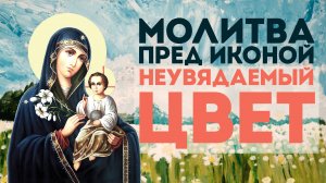 Тропарь Богородице «Неувядаемый Цвет»