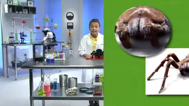 Pest Quest - Episode 2 смотреть онлайн