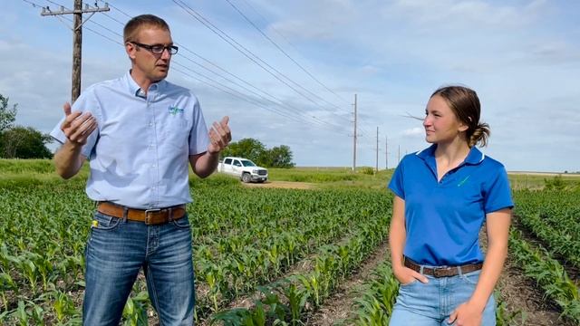Is Side-Dressing Nitrogen Worth It This Year? смотреть онлайн
