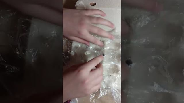 домашняя мини ферма лука