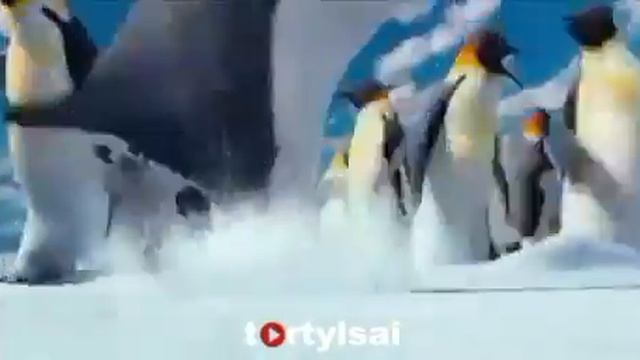 Кластастар кайда смотреть онлайн