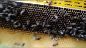 Альтернатива Изоляции Маток-Норвежский Метод!!!