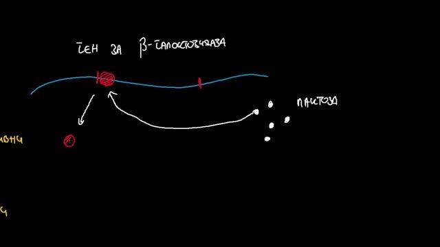Синтеза и деградација | Биохемија смотреть онлайн