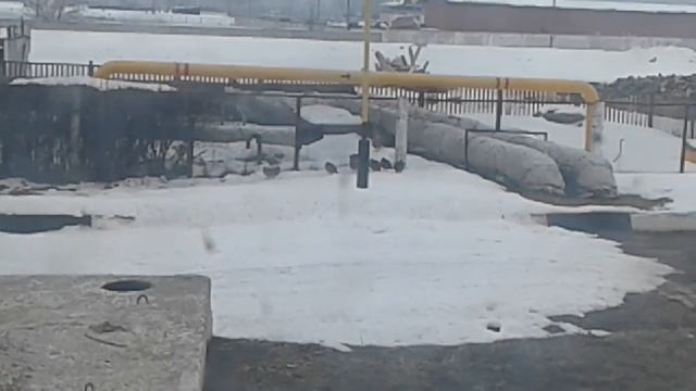 Кличев смотреть онлайн