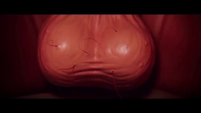 Новый трейлер к мультфильму 