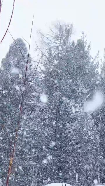 Снежный апрель смотреть онлайн