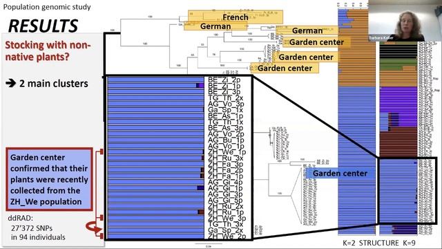 A high-quality reference genome aids conservation of Hottonia palustris in Switzerland смотреть онлайн