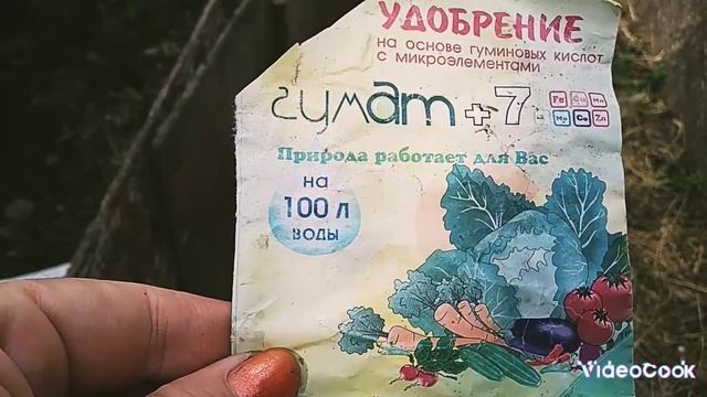 Чем можно заменить золу, когда нужен растениям калий. смотреть онлайн