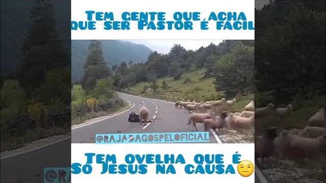 Ser pastor não é fácil - Rajada gospel смотреть онлайн