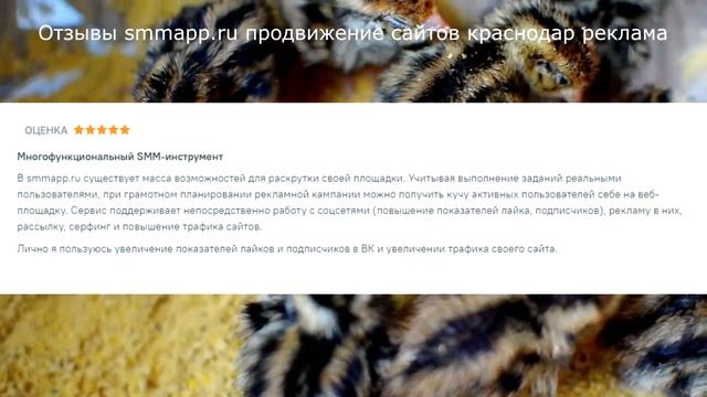 Отзывы smmapp.ru продвижение сайтов краснодар реклама смотреть онлайн