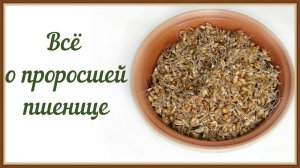 ПРОРОЩЕННАЯ ПШЕНИЦА - РЕЦЕПТЫ
