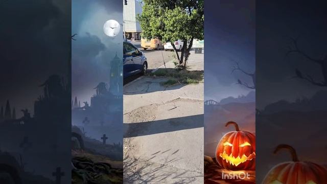 Aprendiendo inglés en las calles 🇬🇧🇺🇲😎 "describiendo un lugar usando el adjetivo "lively" смотреть онлайн