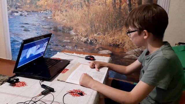 Дамир, ментальная арифметика, считаем в уме без абакуса смотреть онлайн