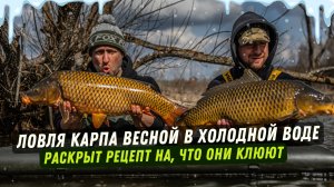 Весенняя ловля карпа: выбор точки, корм и монтажи. Деревенский дикарь
