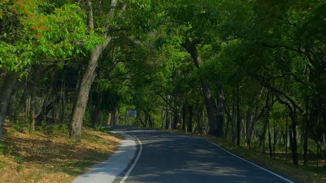 Munnar - Marayur - Chinnar Route | Purple Valley In Munnar | Vlog#73 смотреть онлайн