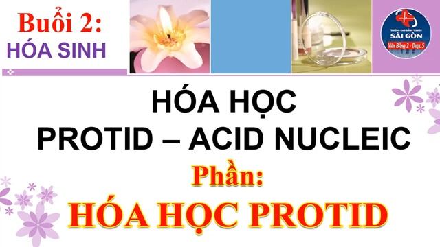 Hóa Học Protid | Môn Hóa Sinh - Buổi 2 смотреть онлайн