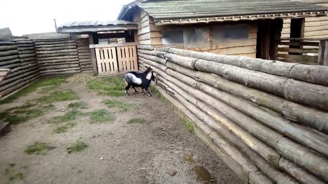 как живут барани в польше смотреть онлайн