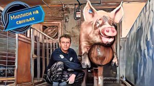 ‼️Прикорм подсосных поросят‼️Элитные свиньи от поросёнка до хряков монстров