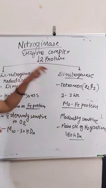 Nitroginase enzyme complex | Nitrogen Fixation | Science With Jyoti смотреть онлайн
