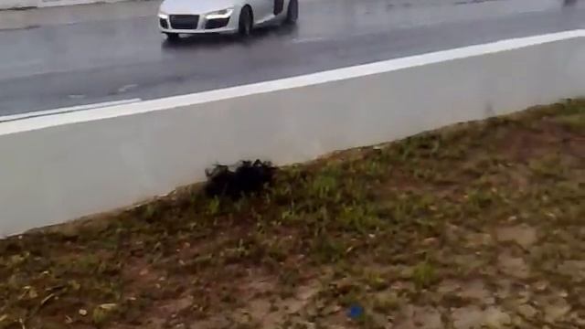 Audi R8 drift.mp4 смотреть онлайн