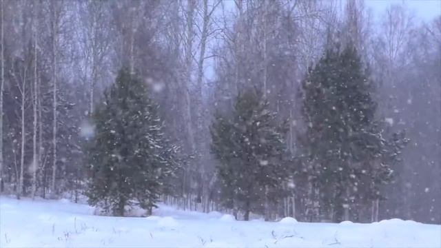 Видео рассказ Кротовская ёкв по одноименному рассказу Бердова В А смотреть онлайн