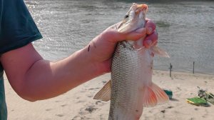 Мартовская рыбалка на Хопре