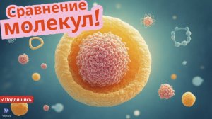 "Сравнение размеров клеток и молекул 🧬🔬 для детей!"