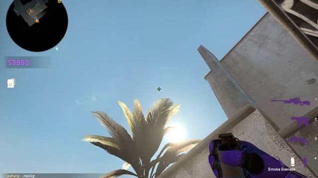 Dust 2 Cat Smoke From Goose смотреть онлайн