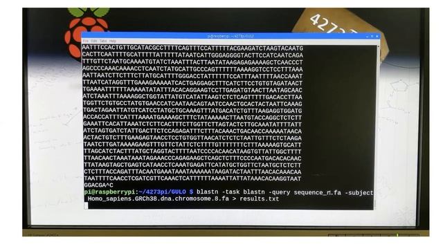 Bioinformatics for biologist: Stevie Bain (the 4273pi project, University of Edinburgh) смотреть онлайн