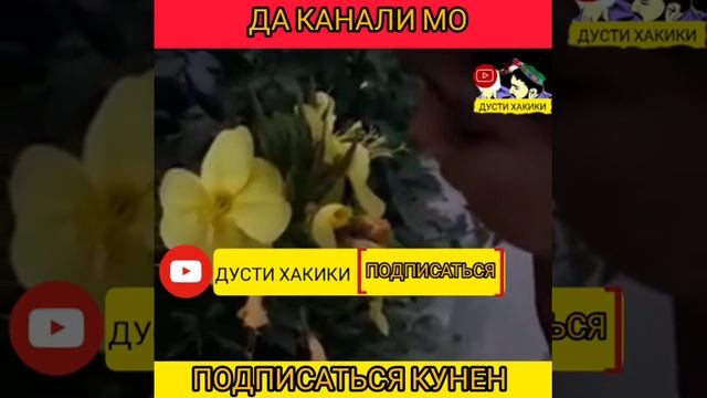 МУЧИЗАРА БИНЕН МАРДУМ смотреть онлайн