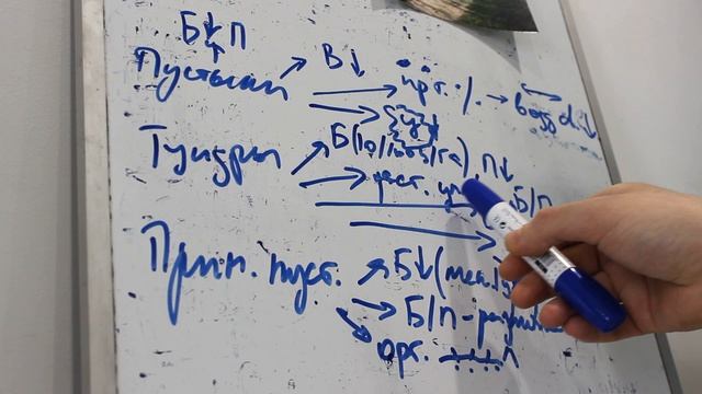 Геохимия ландшафта - Биогенная миграция (11) смотреть онлайн