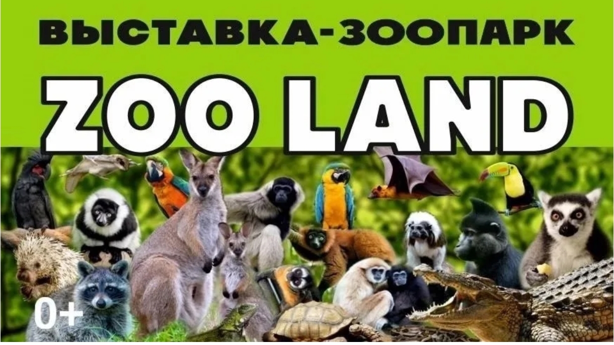 Контактный зоопарк Zooland обзор выставки Омск Торговый центр Festival City