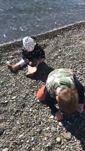 Сбор ракушек смотреть онлайн