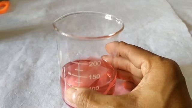 Cobalt Chloride Experiment to demonstrate Transpiration смотреть онлайн