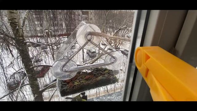 Синицы смотреть онлайн