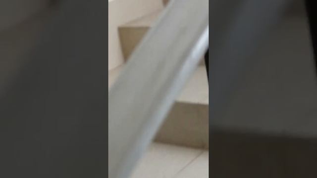 Возвращение кота Алекс домой с. прогулки смотреть онлайн