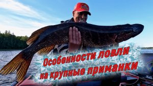 Рыбалка на КРУПНЫЙ СИЛИКОН. Мой опыт ловли. ОСОБЕННОСТИ
