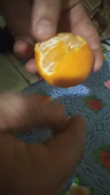 Про мандарины смотреть онлайн