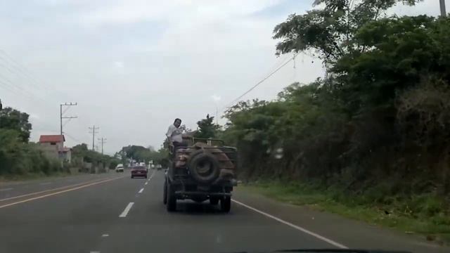 Pig transport, El Salvador смотреть онлайн
