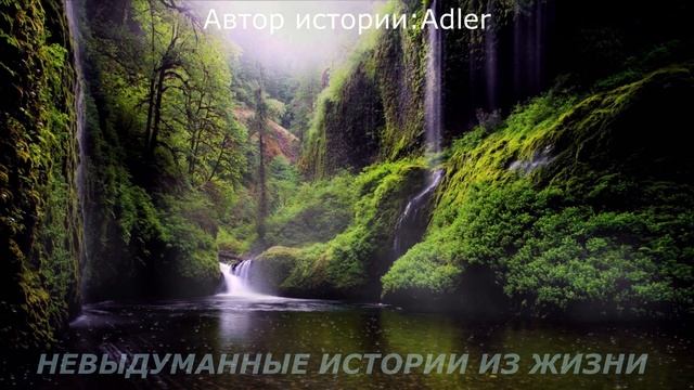 📌Непорядочный родственник🟥Невыдуманные истории из жизни🟥Аудиорассказ🟥Истории из жизни смотреть онлайн