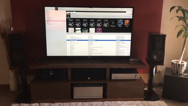 Parasound P5 + A21 + Dali Helicon 300 MK2 + Audirvana Plus.