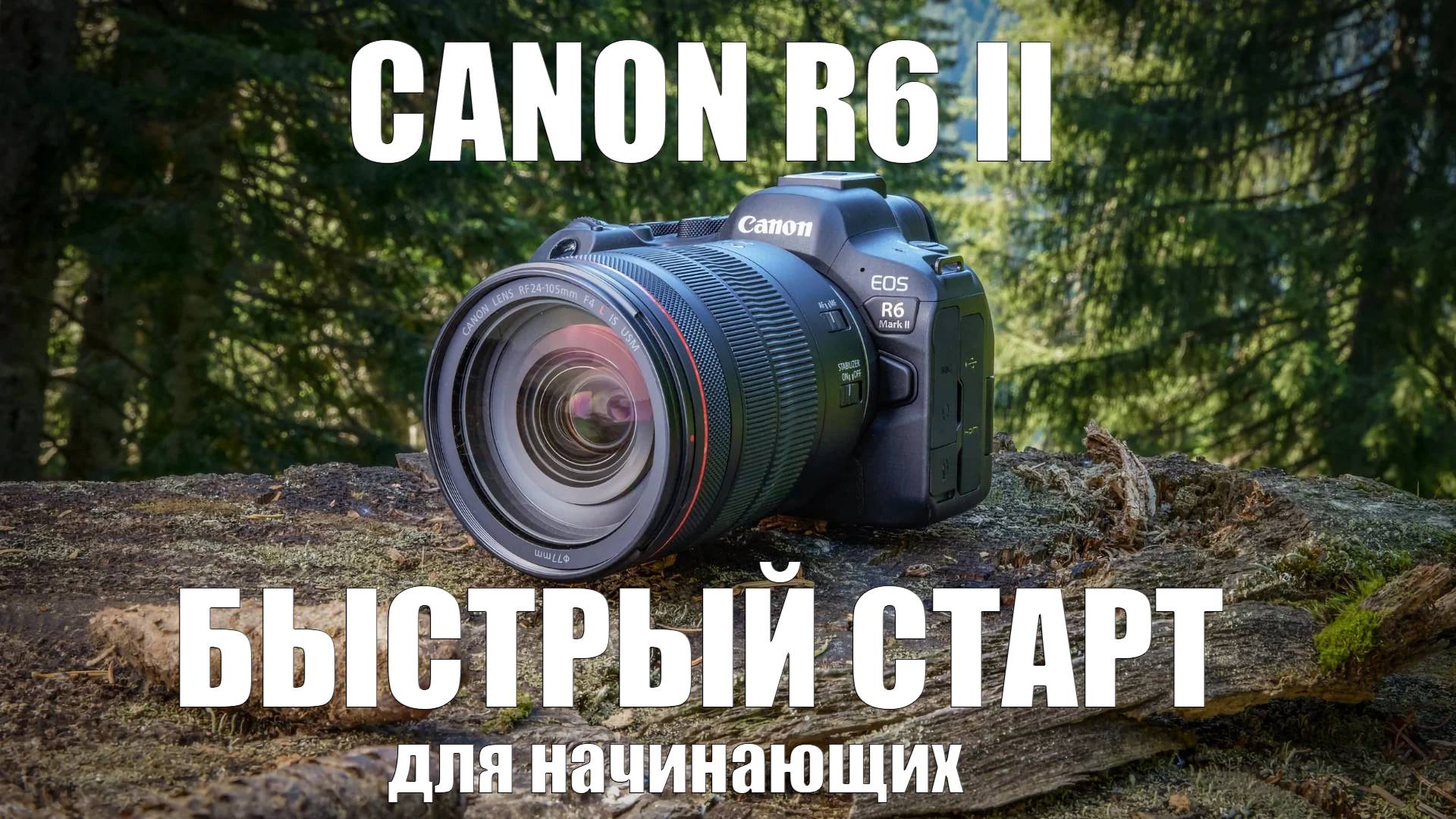 обучение canon r6 II полный курс для начинающих смотреть онлайн